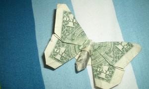 Бабочка оригами: простая схема из купюры и из модулей с фото и видео в фото Как сделать бабочку из денег схема